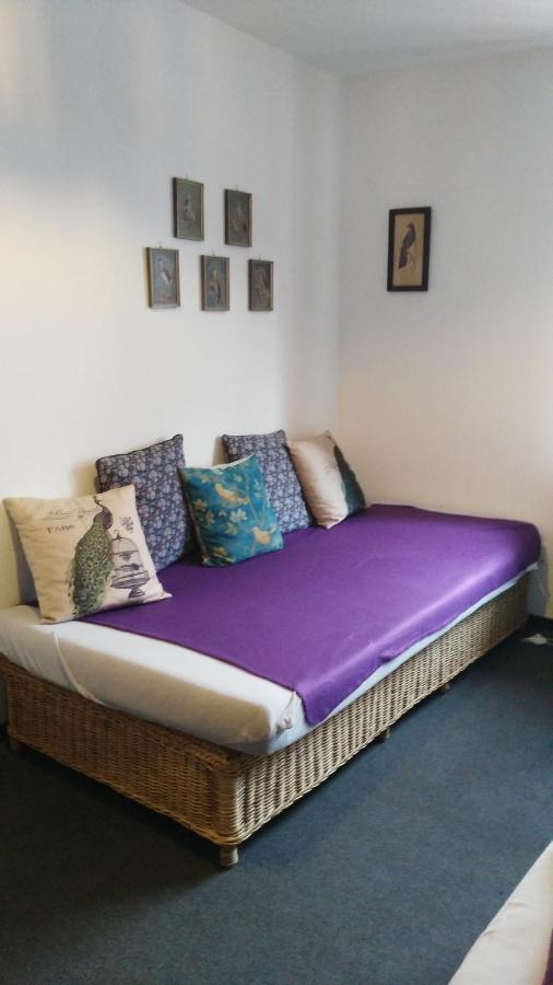 Exklusive Ferienwohnung Lurelei 150 Qm Mit Traumblick 4 Bis 9 P บาคาราค ภายนอก รูปภาพ