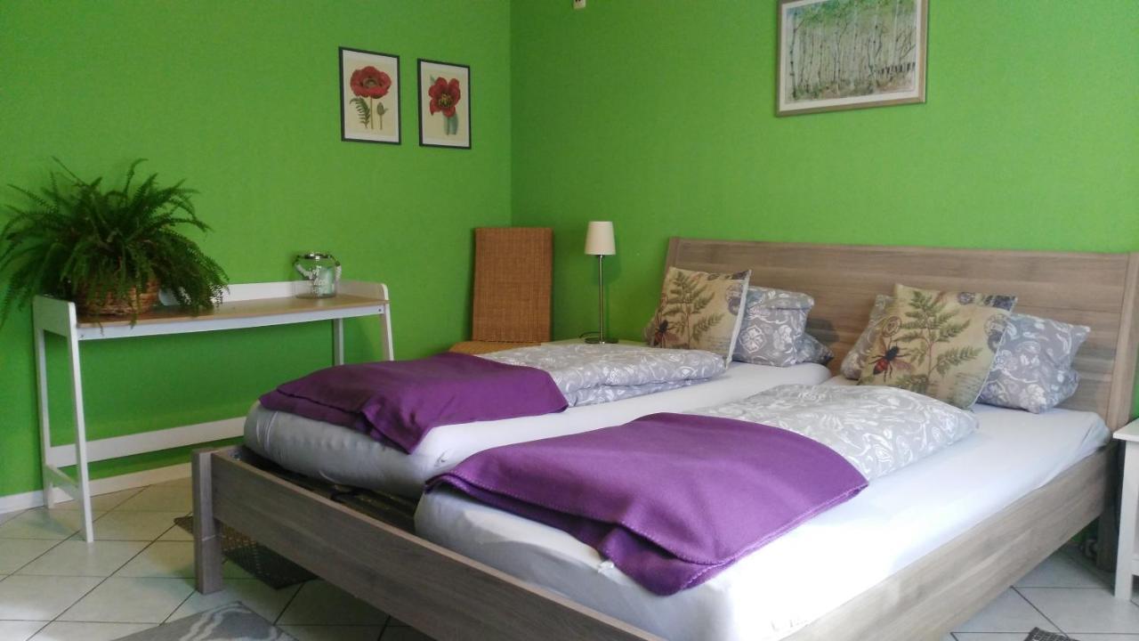 Exklusive Ferienwohnung Lurelei 150 Qm Mit Traumblick 4 Bis 9 P บาคาราค ภายนอก รูปภาพ